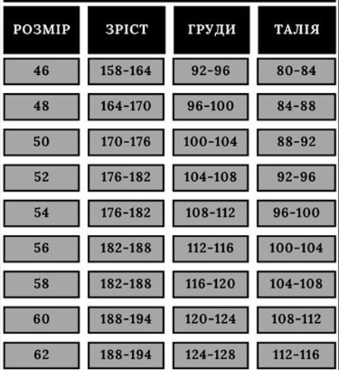 Спецівка робоча захисна, комплект демісезонний з куртки та напівкомбінезона, робоча захисна форма REIS Foreco (P) J+B фото