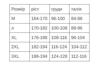 Куртка з капюшоном утеплена, робочий спецодяг, куртка зимова CLASSIC WIN LONG фото